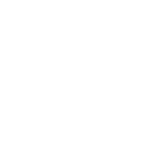 CARGADORES DE MÓVILES